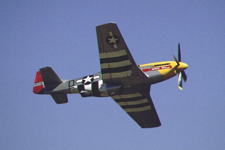 P-51D Mustang N167F "Detroit Miss"