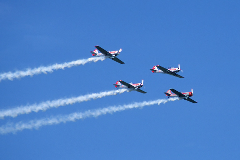 Yakovlev Yak-52s & Yakovlev Yak-50