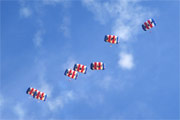 RAF Falcons