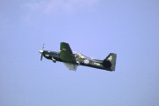 Shorts S-312 Tucano ZF266