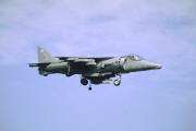 Harrier GR7 ZD433