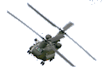 Chinook