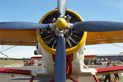 Antonov An-2 Colt D-FKMA