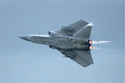 Panavia Tornado F3 ZE961