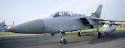 Panavia Tornado F3 36-24