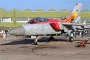 Panavia Tornado F3 ZE735 "The Firebirds"