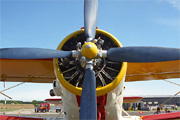 Antonov An-2 Colt